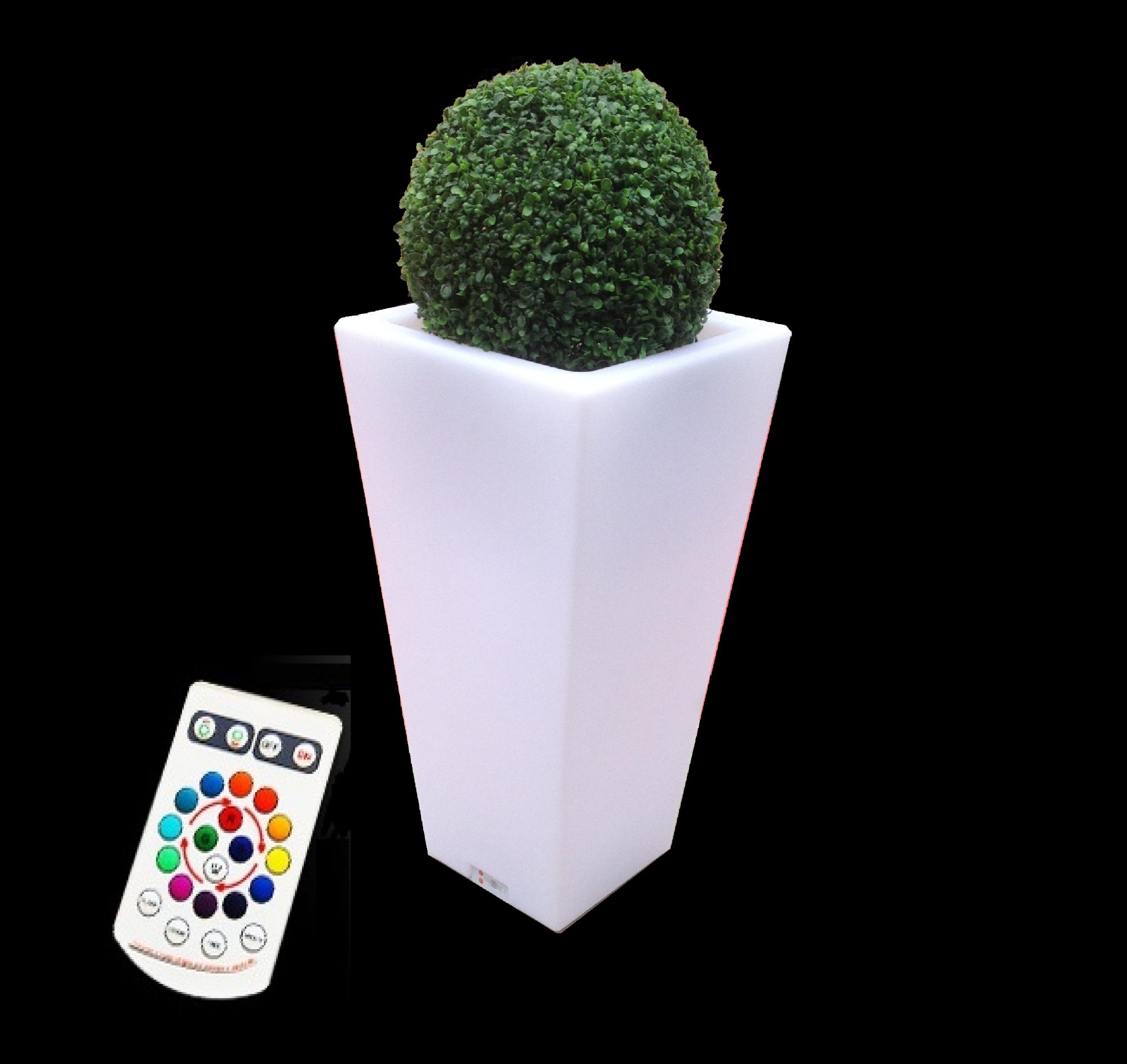 Location de Vase lumineux avec Boule de Buis à Paris