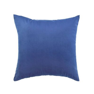 Louer des coussins en velours bleu à Paris