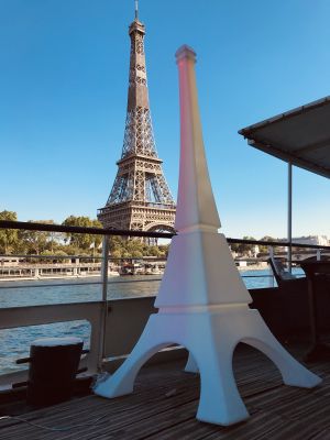 Ou louer une tour Eiffel lumineuse pour soirée à Paris 75 ? 